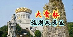 大鸡巴插同学好视频中国浙江-绍兴大香林旅游风景区